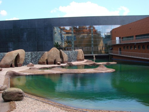 nowe afrykanarium we wrocławskim zoo